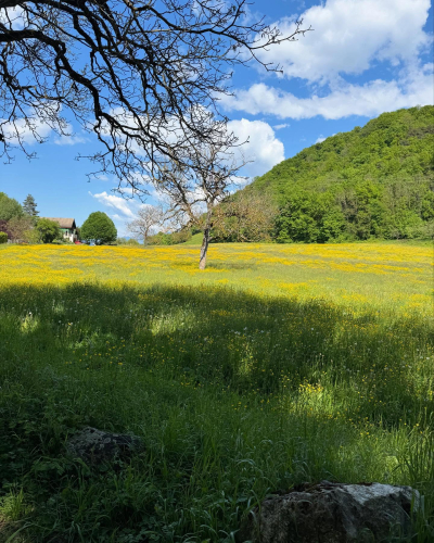 494284604_18070709551908342_3391271344029640458_n