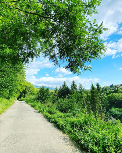 97995259_518760859006693_8984061565837770752_n