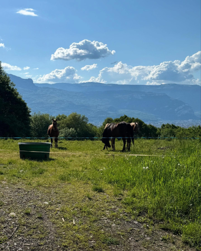 494421792_18070709536908342_3035585938133787093_n